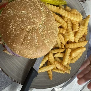 Grilled chicken sandwich with fries