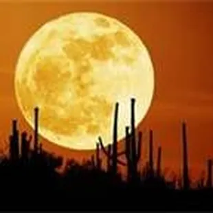 Doug Clark Tax Preparation