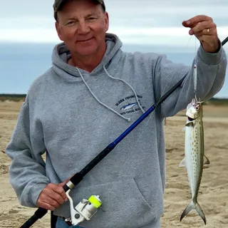 Mark E.