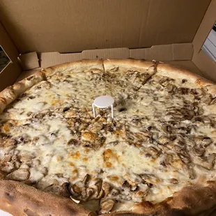 Mushroom Pizza