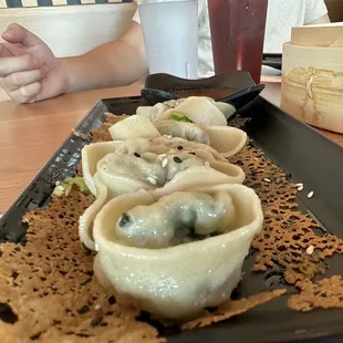 Fried Wontons Potstickers