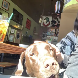 a woman and her dog