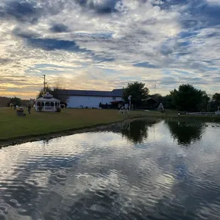 a pond and a barn