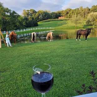 a glass of wine with horses in the background