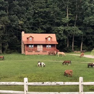 House on property for weekly rentals