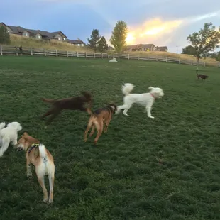 So much space and not a single sand pit in sight!