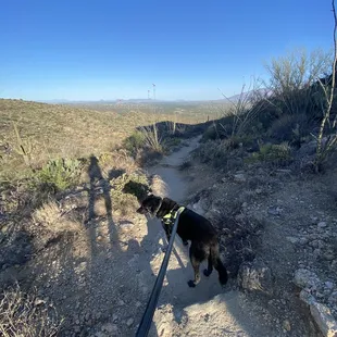 Trail and a great view