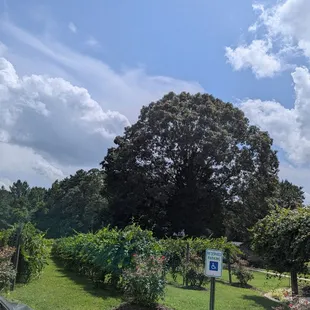 outside