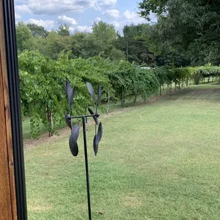 outside
