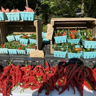 Douglass Loop Farmers Market