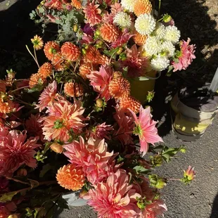 A beautiful selection of beautiful flowers.