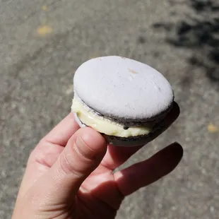 Fresh lavender lemon macaroon. It was probably the best macaroon I've ever tasted. Great balance &amp; consistency.