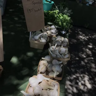 baskets of mushrooms