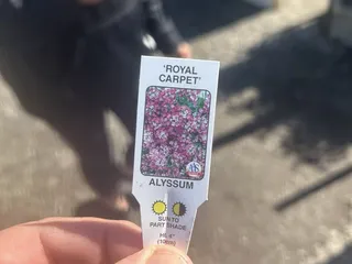 Schnitzelburg Community Farmers Market