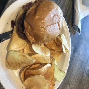 Bison burger