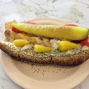 Chicago Dog...