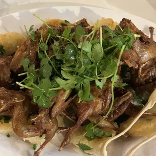 Fried quail + sticky rice