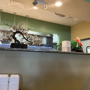 a bonsai tree on a counter