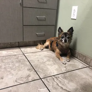 I'm okay. I need pain meds and anti-inflammatory drugs. No surgery today!