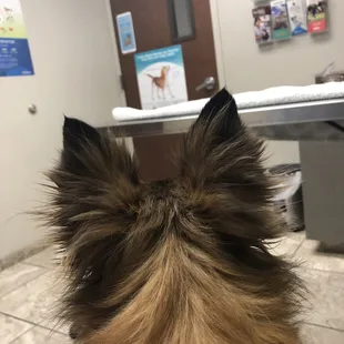 Am I going to need expensive knee surgery?