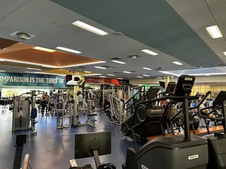 The REC of Grapevine 