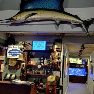 a fish hanging from the ceiling