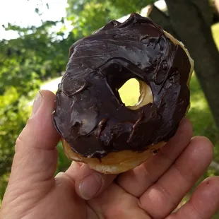 a hand holding a chocolate frosted donut