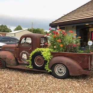 an old truck with flowers in the bed