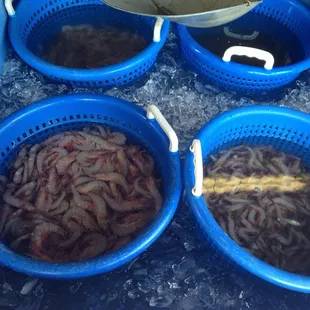 three buckets filled with shrimp