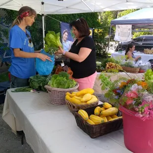 Find them at the Arts District Farmers Market on Wednesdays from 4-7pm!