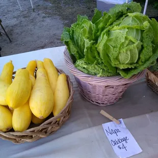 Yellow squash and Napa cabbage :)