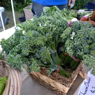 Beautiful Chinese Broccoli: $3
