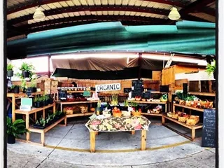 Meteor Street Produce