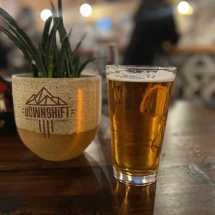  a glass of beer and a potted plant