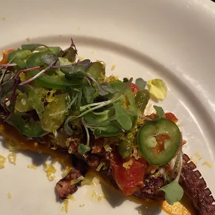 Octopus