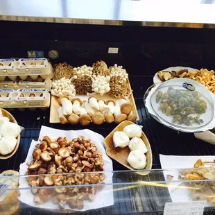 Shrooms, cheese, that amazing burrata