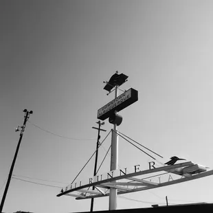 8/19/18:   Yelpers...get out and snap some photos today! Here is another reason to get out and YELP your local area! World Photography Day