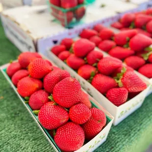 Strawberries! | www.moniquedao.com