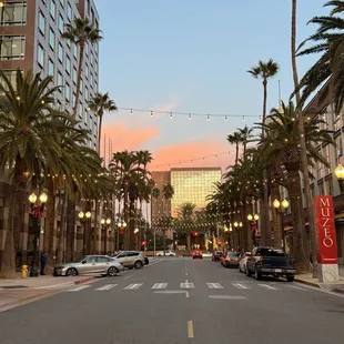 Beautiful sunset vibes towards City Hall.