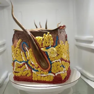Replica of human skin layers out of buttercream and gum paste for the hair follicle