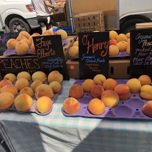 $4.75/lb seen Sat 8/14/21