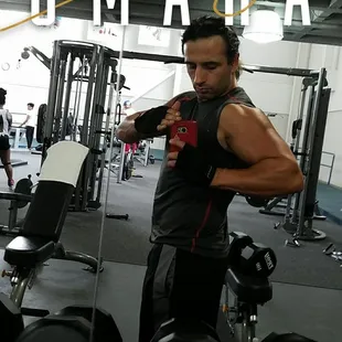 Oma oma oma oma oma chameleon