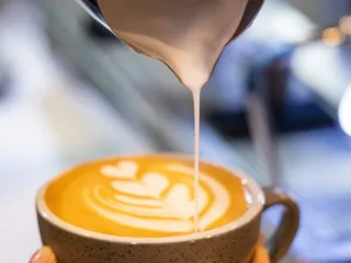 Java Nation