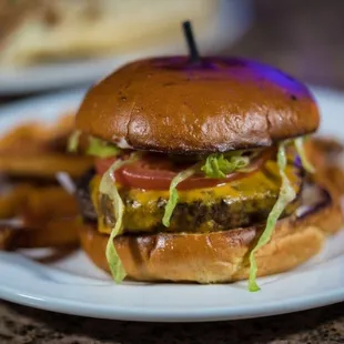 a hamburger and fries on a plate