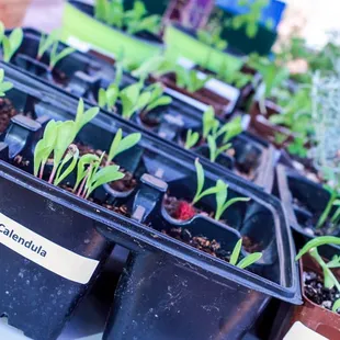 Weekly farmer's market in the downtown square every Thursday 3:00 - 7:00 PM