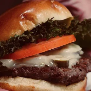 burger, food, burgers