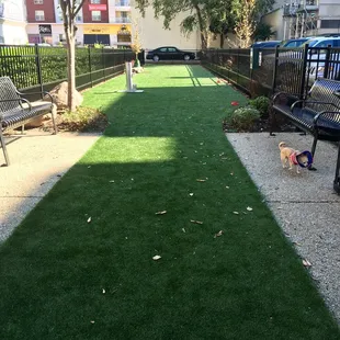 Grand Opening 10.28.2016