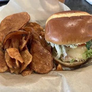 Grilled Chicken Sandwich