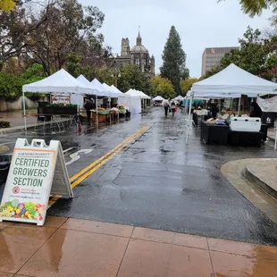 Spring Rain (03/30/2024)