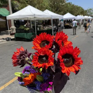Red Sunflowers ($6)
